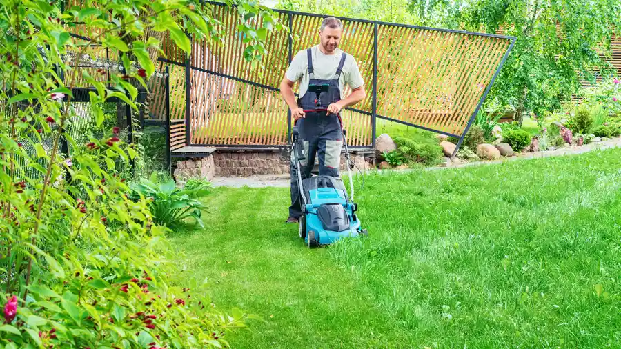 Affordable Lawn Mowing Hyattsville, MD Affordable Lawn Mowing Hyattsville, MD