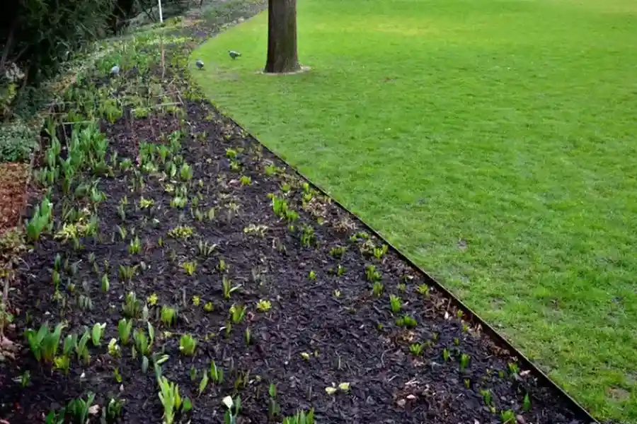 Excellent Lawn Edging Hyattsville, MD Excellent Lawn Edging Hyattsville, MD