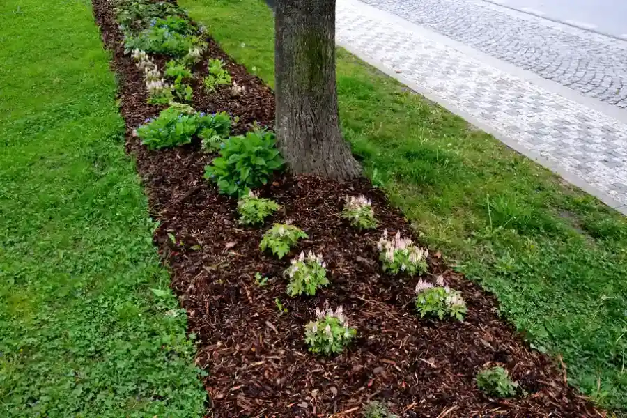 Local Mulching Hyattsville, MD Local Mulching Hyattsville, MD