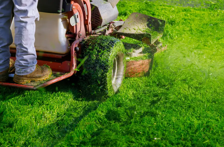 Premium Lawn Mowing Hyattsville, MD Premium Lawn Mowing Hyattsville, MD