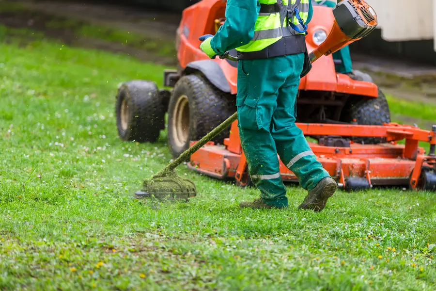 Professional Lawn Mowing Hyattsville, MD Professional Lawn Mowing Hyattsville, MD