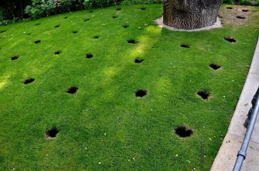 Quality Lawn Aeration Hyattsville, MD Quality Lawn Aeration Hyattsville, MD