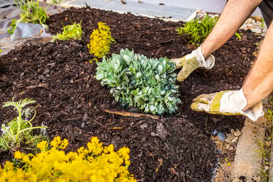Reliable Mulching Hyattsville, MD Reliable Mulching Hyattsville, MD