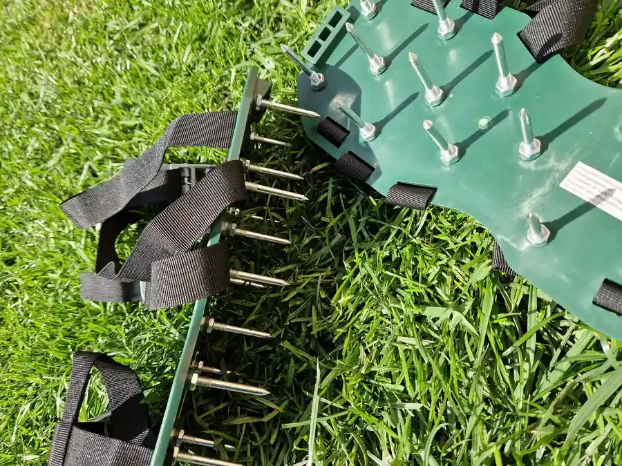 Reputable Lawn Aeration Hyattsville, MD Reputable Lawn Aeration Hyattsville, MD