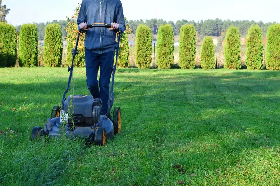 The Impact Of Grass Height On Lawn Health And Aesthetics Hyattsville, MD The Impact Of Grass Height On Lawn Health And Aesthetics Hyattsville, MD