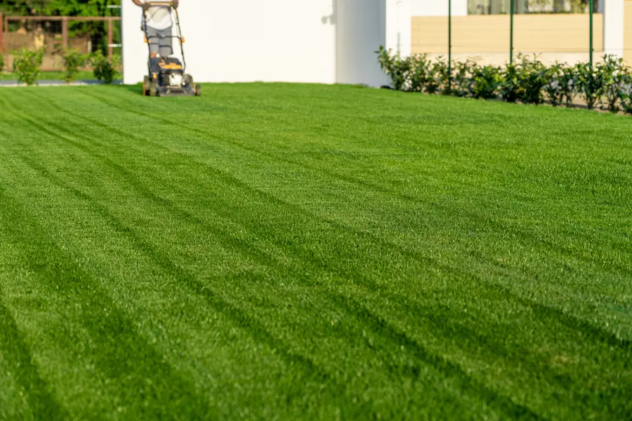The Impact Of Grass Height On Lawn Health And Aesthetics in Hyattsville, MD The Impact Of Grass Height On Lawn Health And Aesthetics in Hyattsville, MD