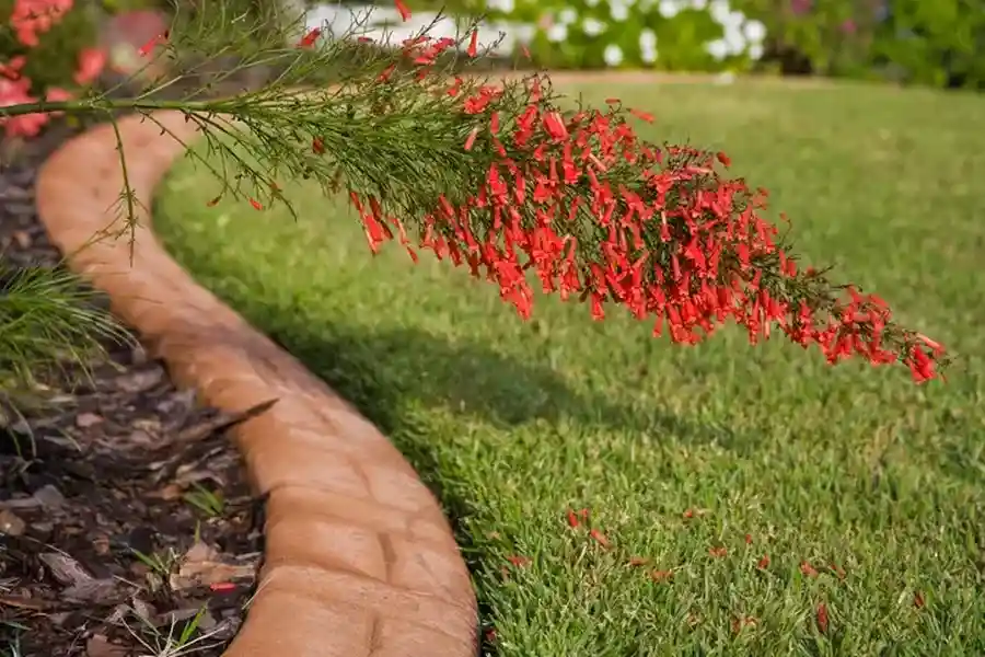 Top-rated Lawn Edging Hyattsville, MD Top-rated Lawn Edging Hyattsville, MD